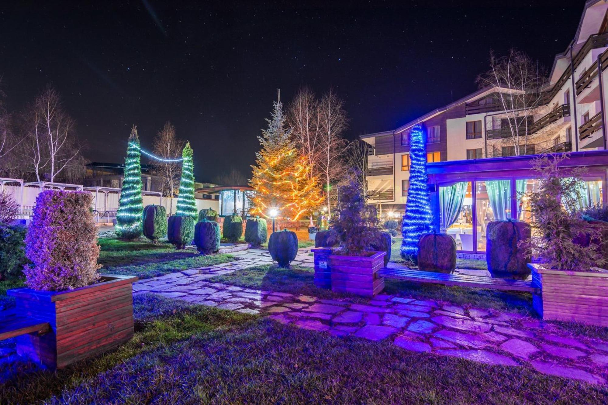 Wood & Aparthotel Bansko